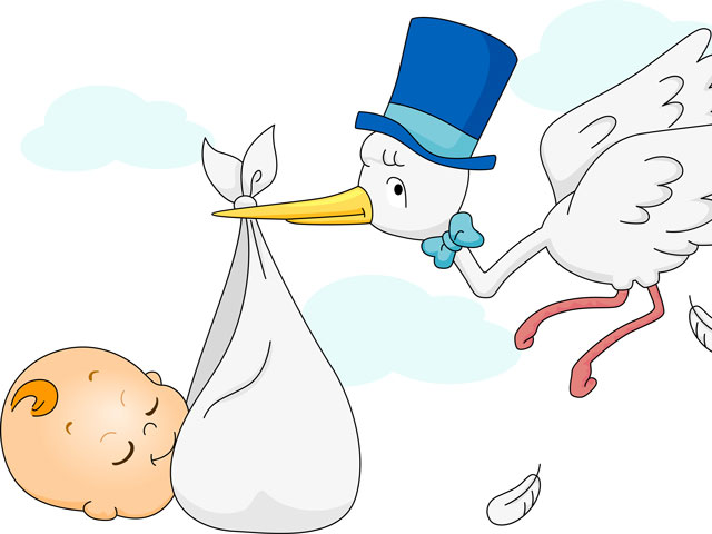 illustration-pelican-delivering-baby 640-480px